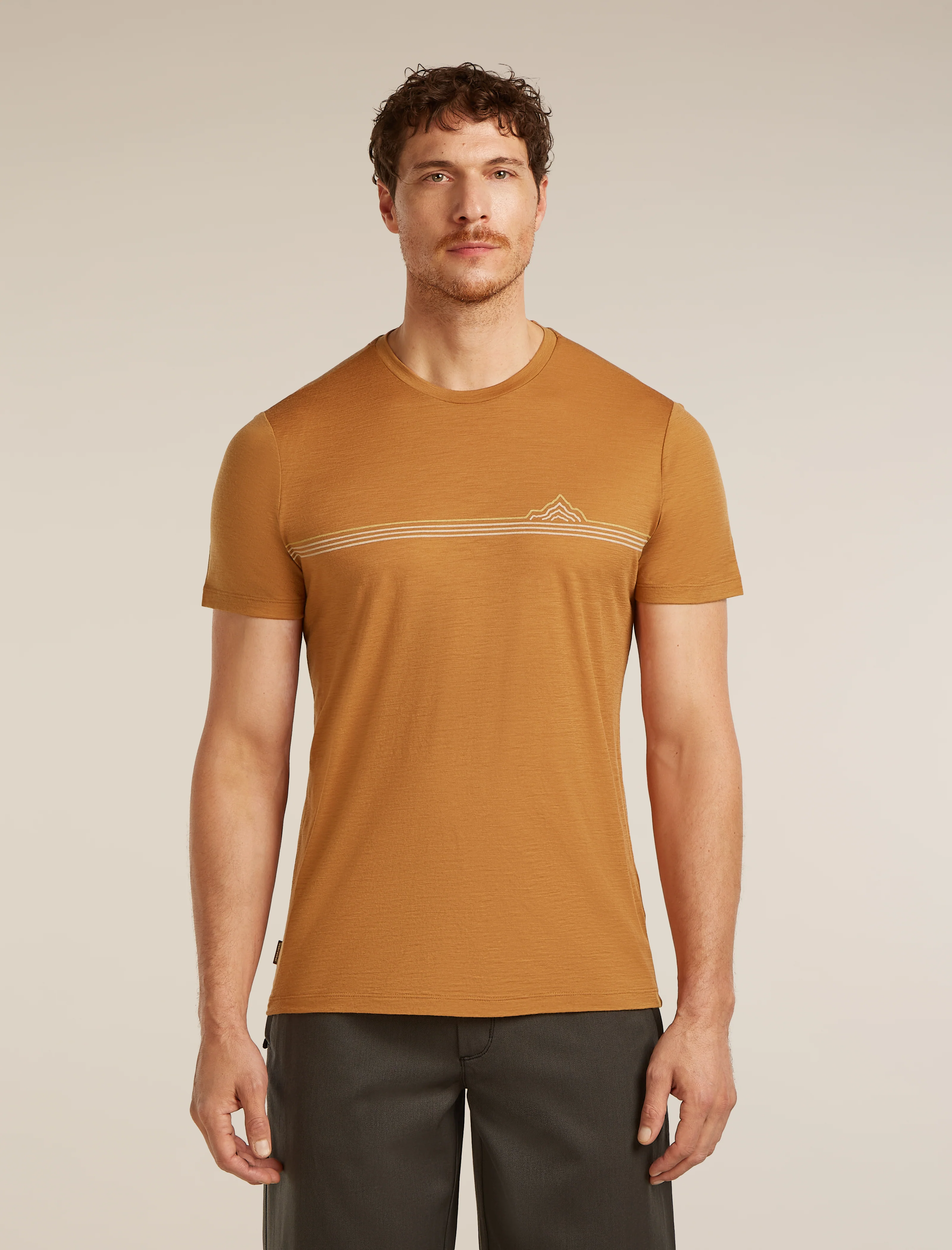Men's Merino 150 Tech Lite Short Sleeve Tee Range Stripes