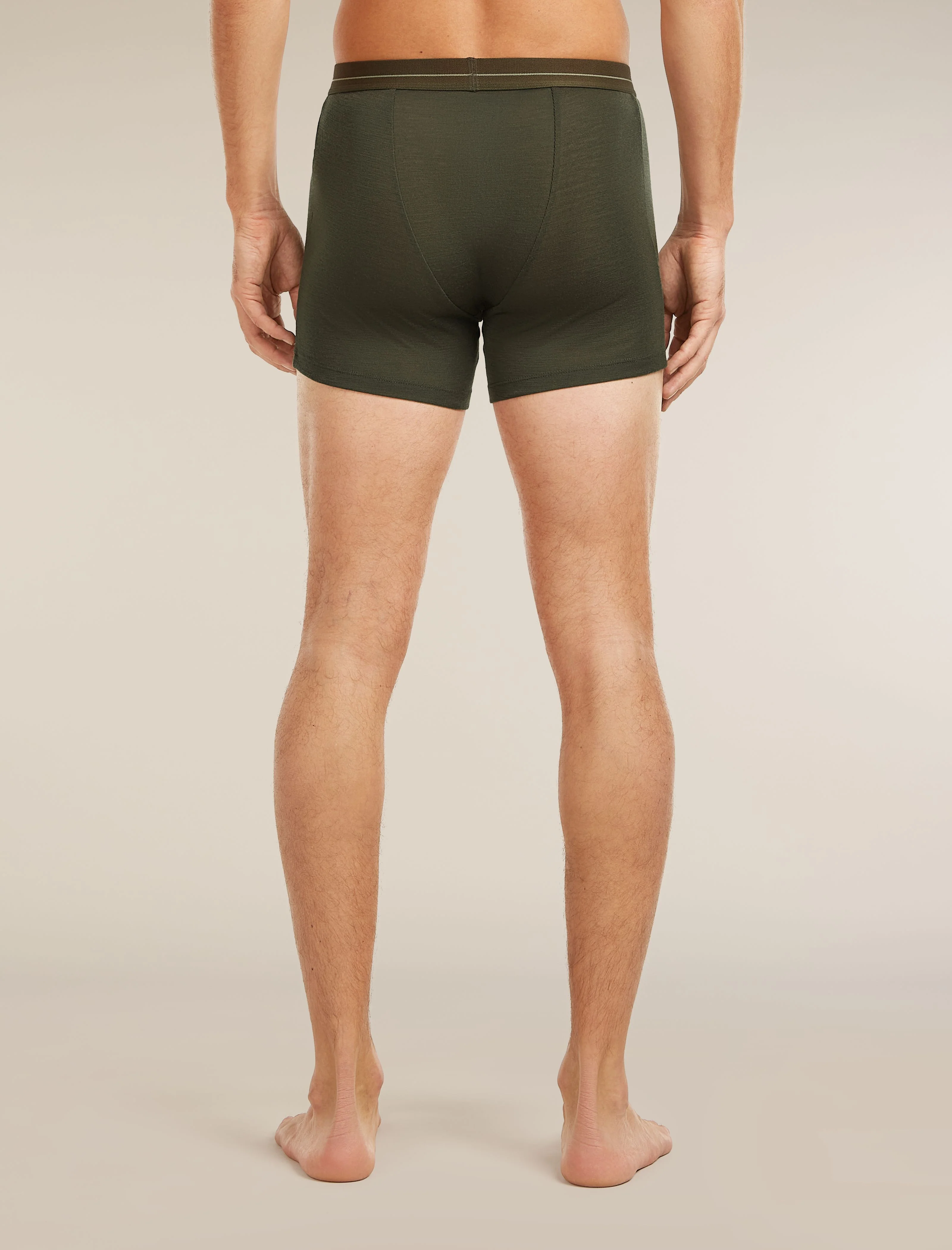 Men's Merino 175 Everyday Boxers wFly - Image 2