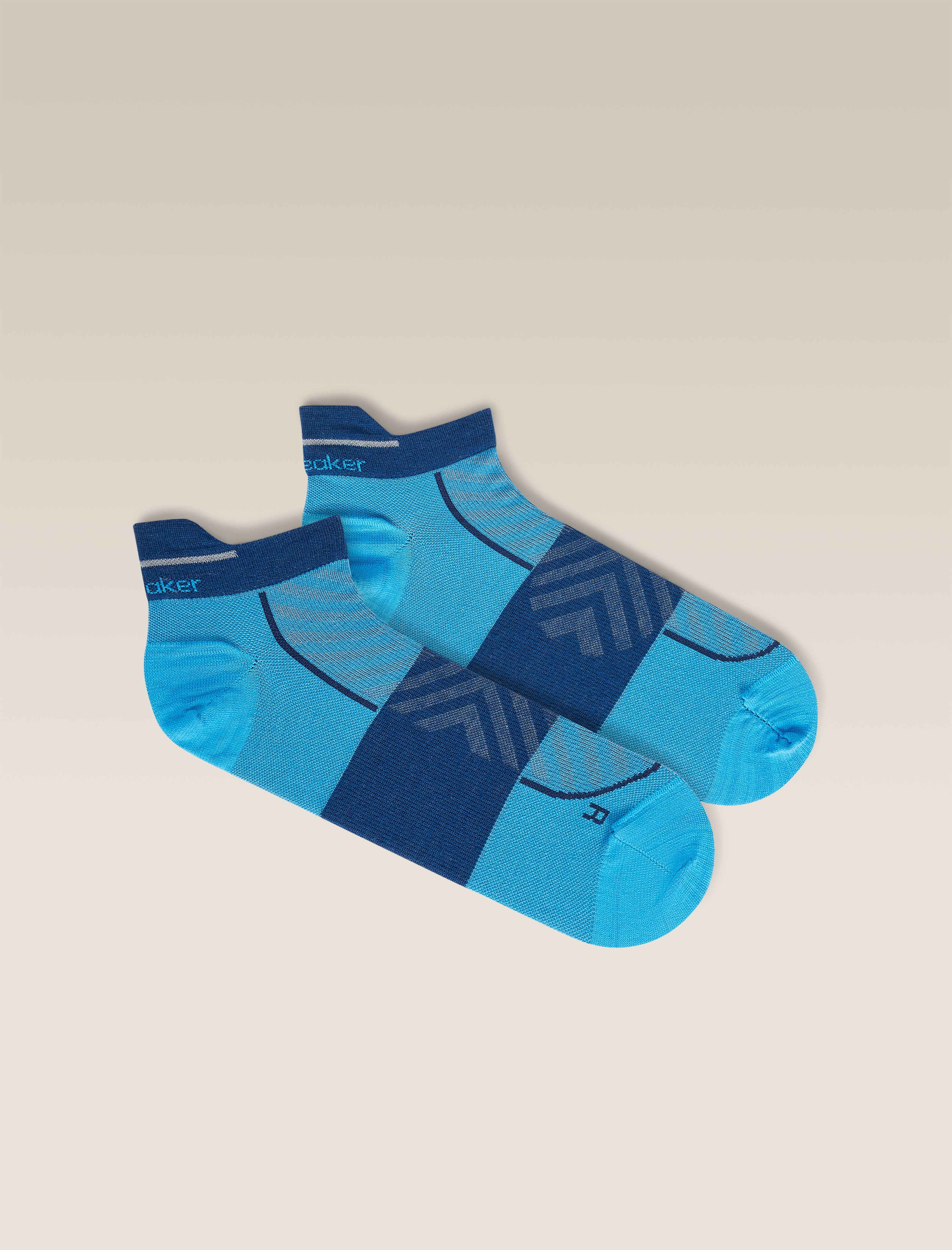 Men's Merino Blend Run+ Ultralight Micro Socks