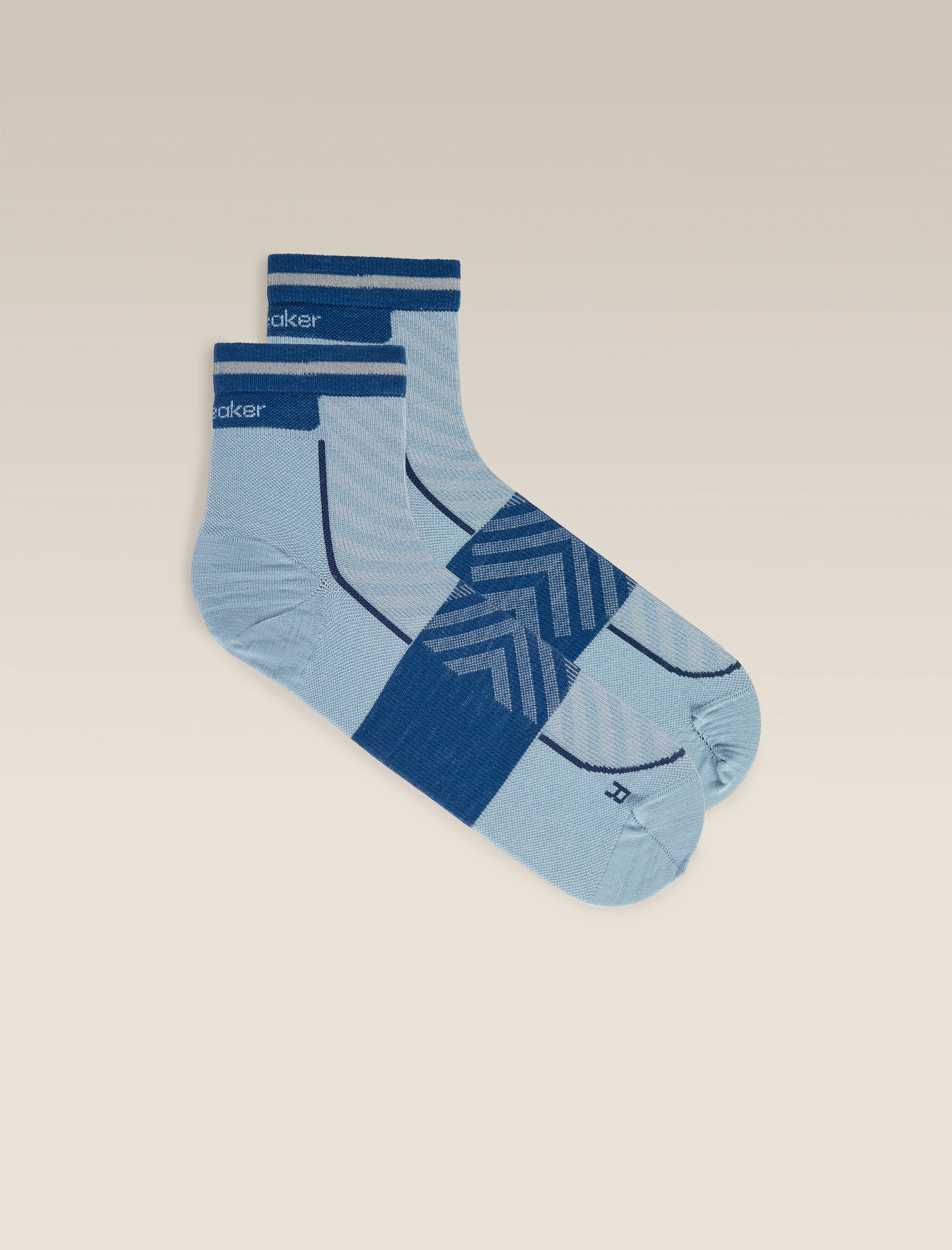 Men's Merino Blend Run+ Ultralight Mini Socks