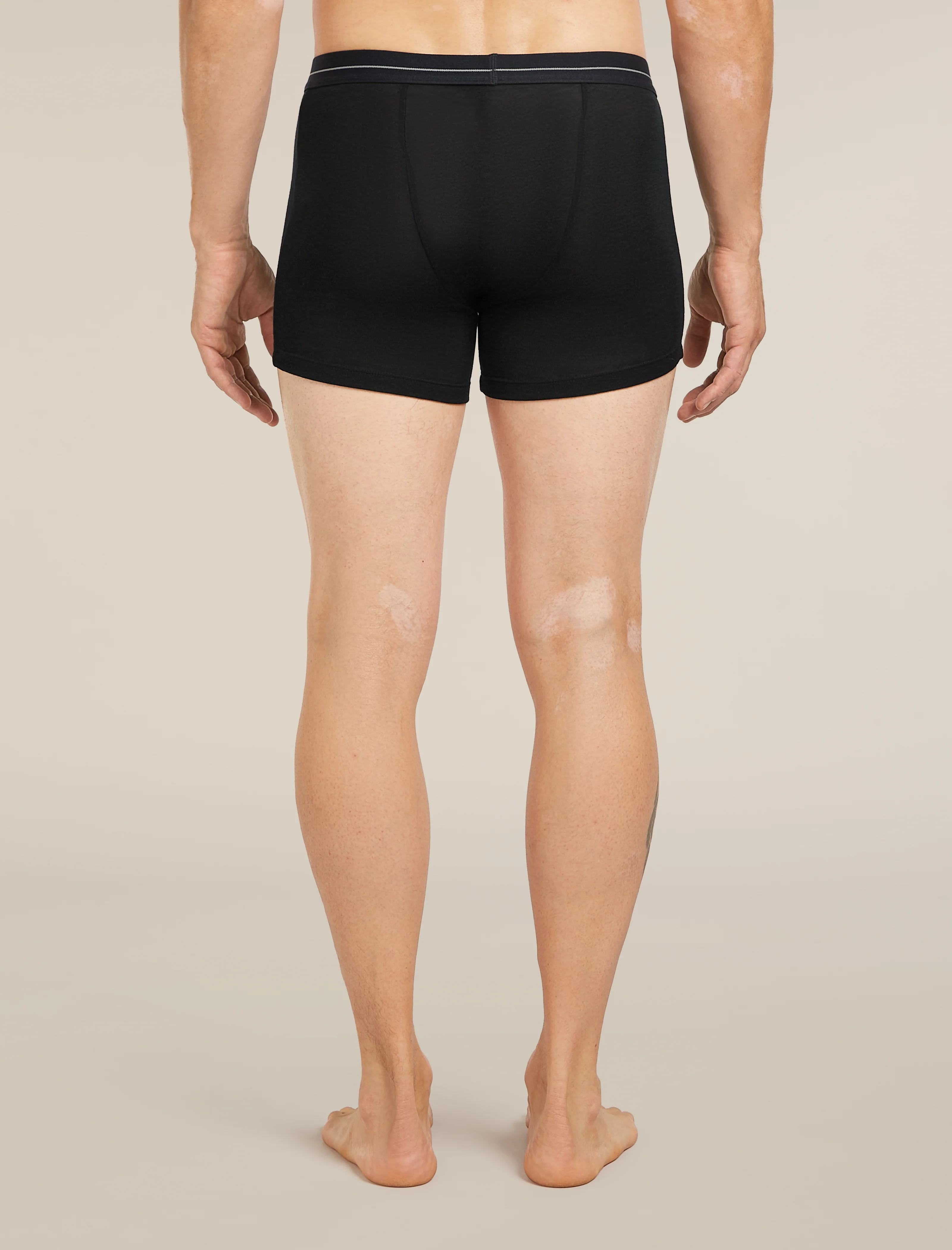 Men's Men's Merino 175 Everyday Thermal Boxers wFly - Image 2
